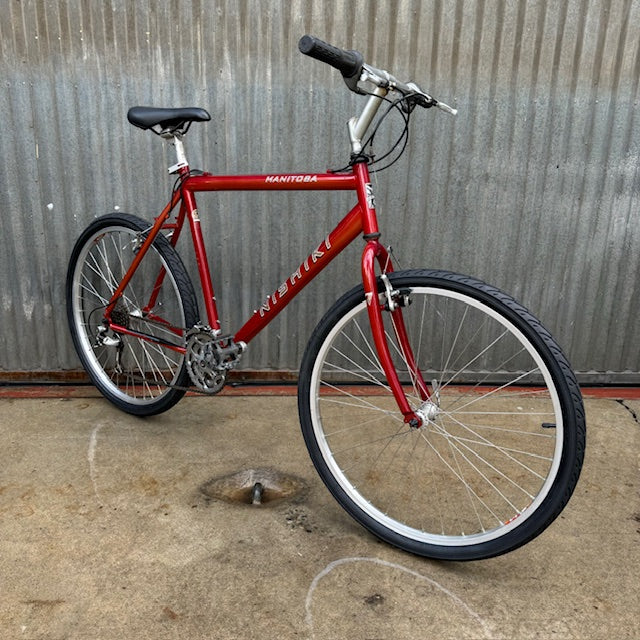 Used Nishiki City Bike