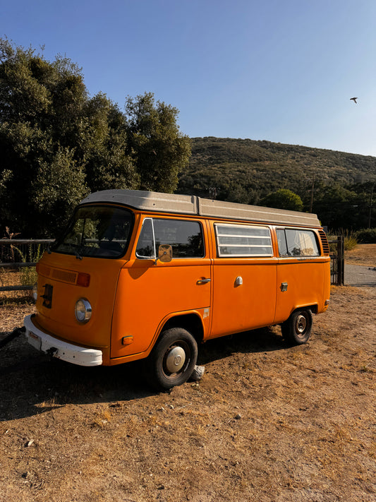 1977 Volkswagen Westfalia Bus
