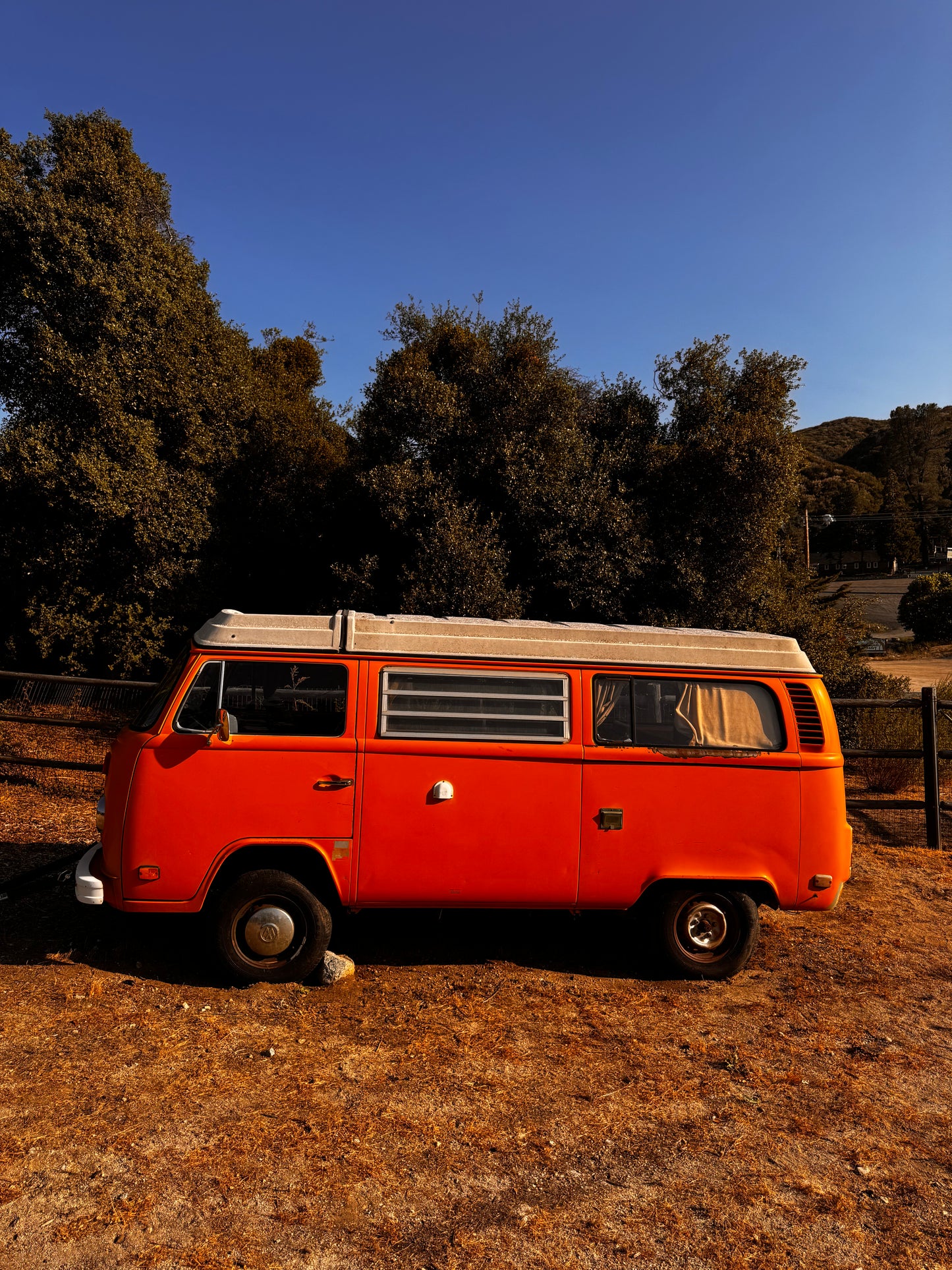 1977 Volkswagen Westfalia Bus