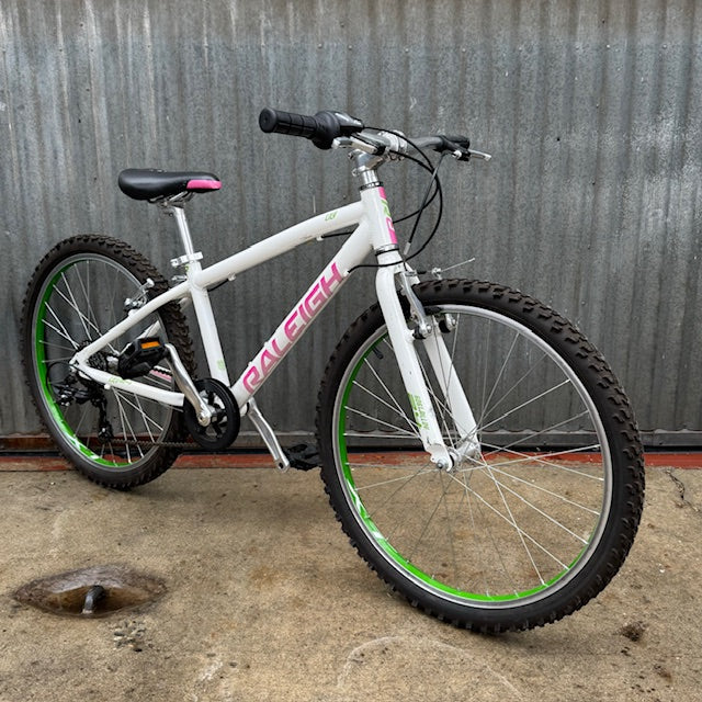 Big Kid's Raleigh Hybrid Used City Bike