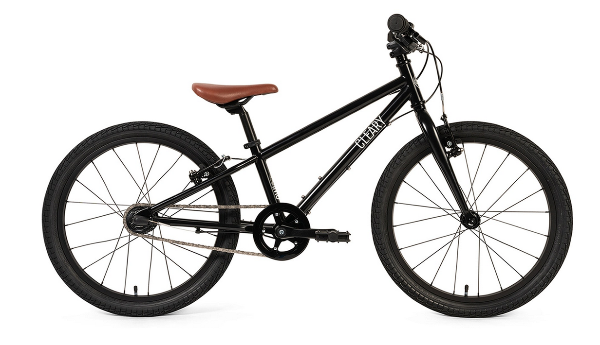 Cleary Owl 20" Kid's Bikes - 3-Speed Version