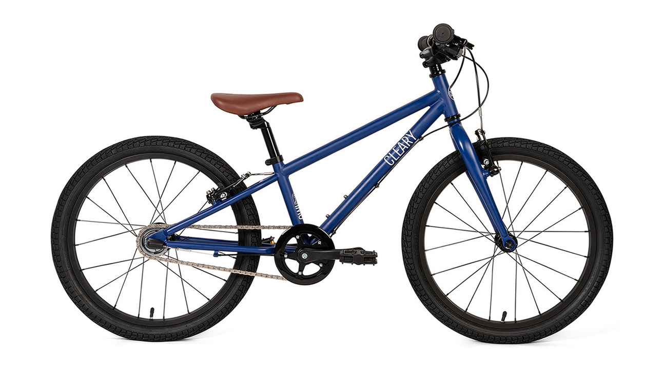 Cleary Owl 20" Kid's Bikes - 3-Speed Version