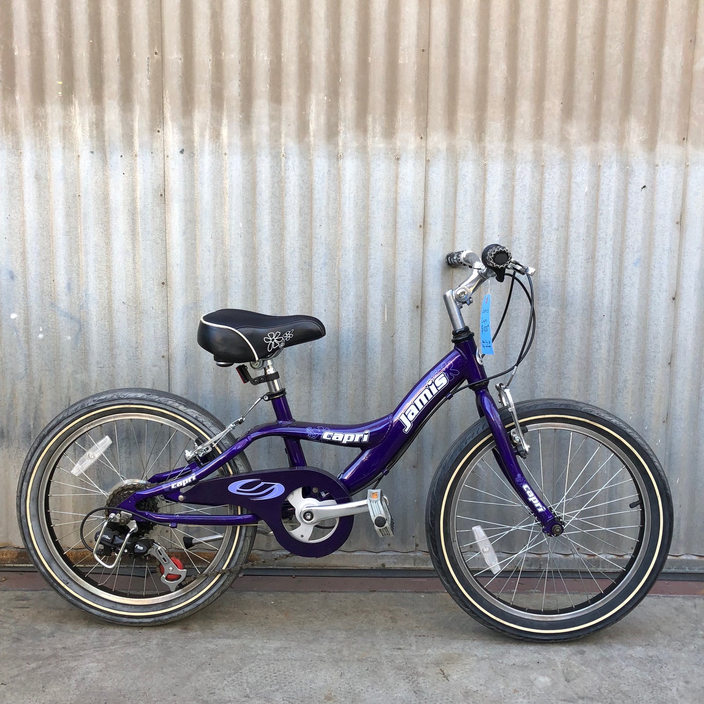 Jamis 20" Kids Bike