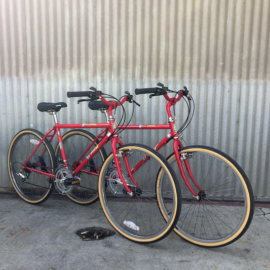 Cyclepro Matched Pair Pocono Used Burrito Slayer-style City Bike