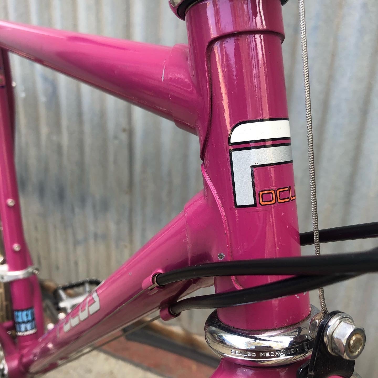 Focus MTB in Amazing Berry Color with Black Deerhead Thumb Shifters