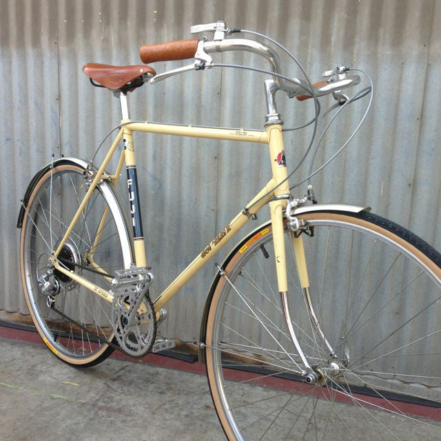 Fuji Del Rey Townie