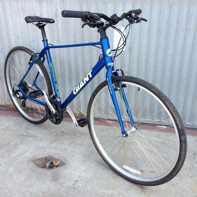 Giant Escape Hybrid – Coco's Variety - Main Image