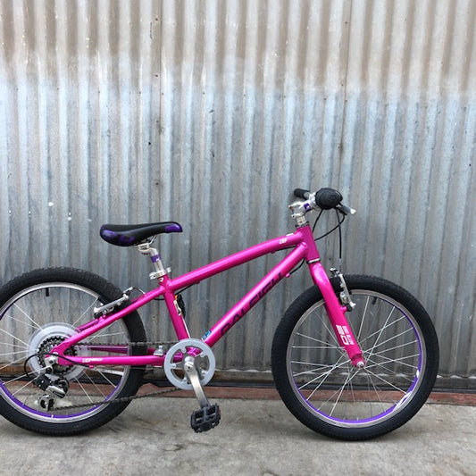 Used Raleigh Lily 20" - 6 Speed
