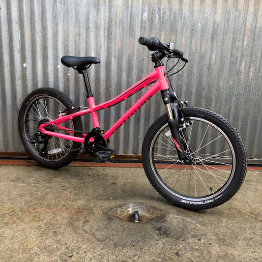 Mountain Bike - Youth - Specialized Hot Rock - 20" Size - Ages 7-9 - Studio Rental