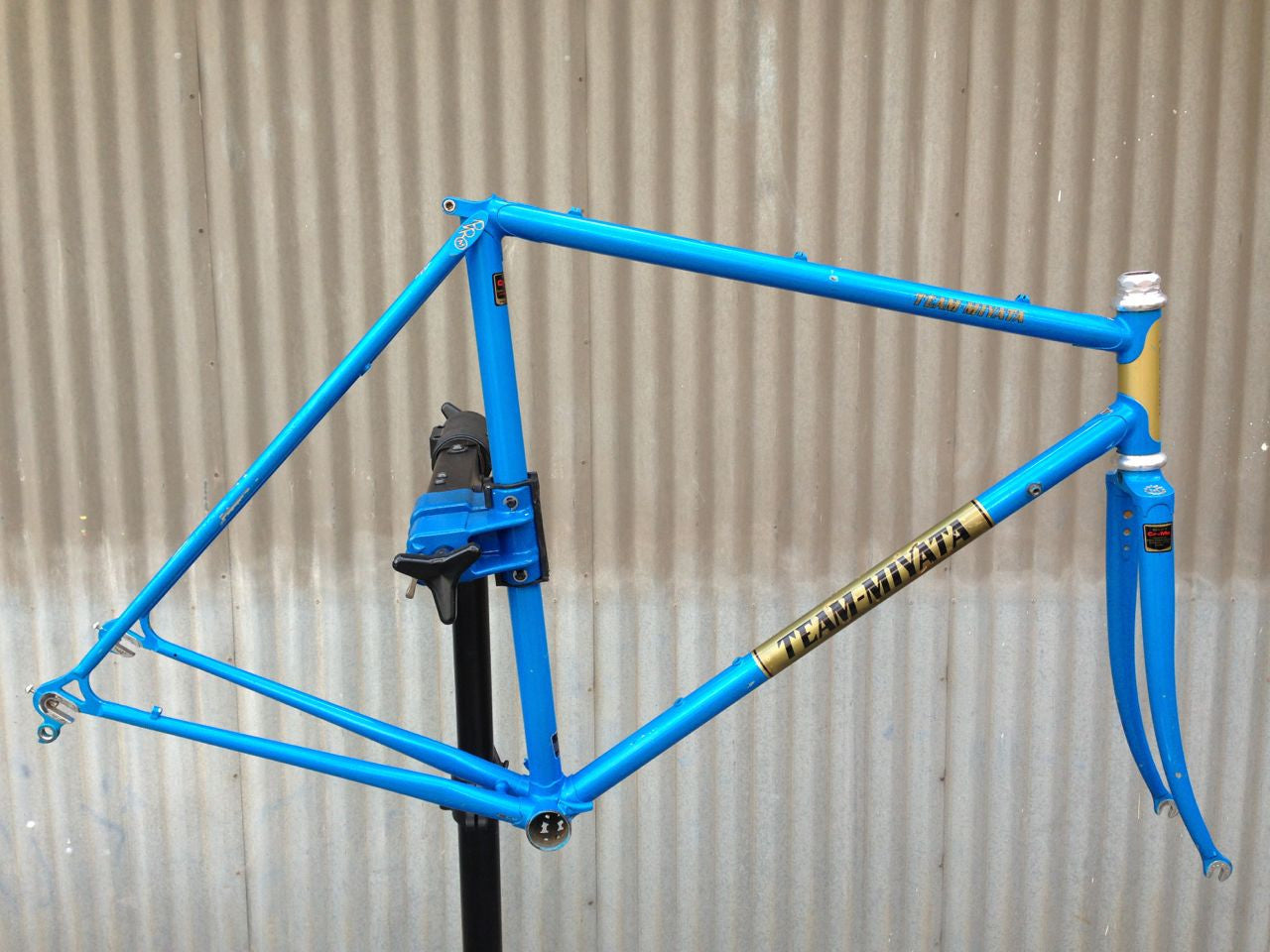 Team Miyata Frameset with Galli Stronglight Headset