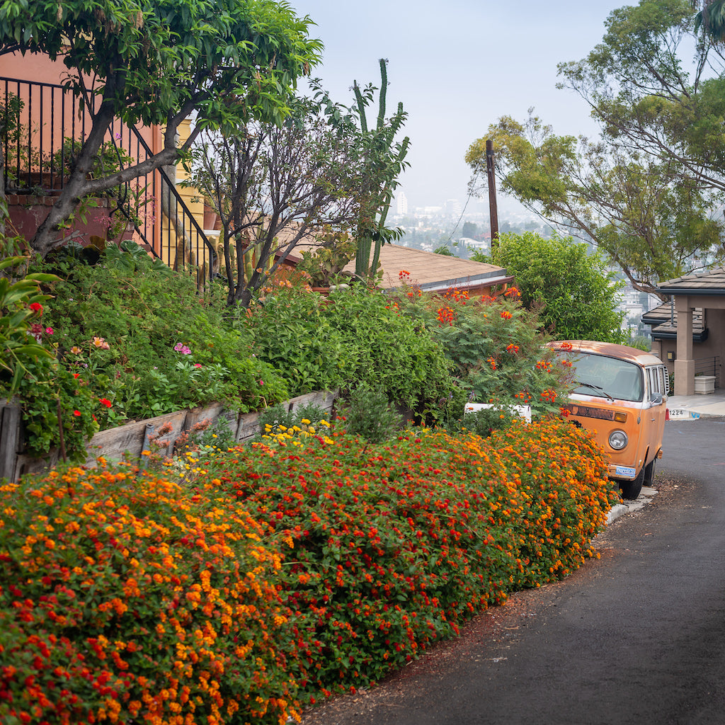 1973 Volkswagen Bus for Studio Rental