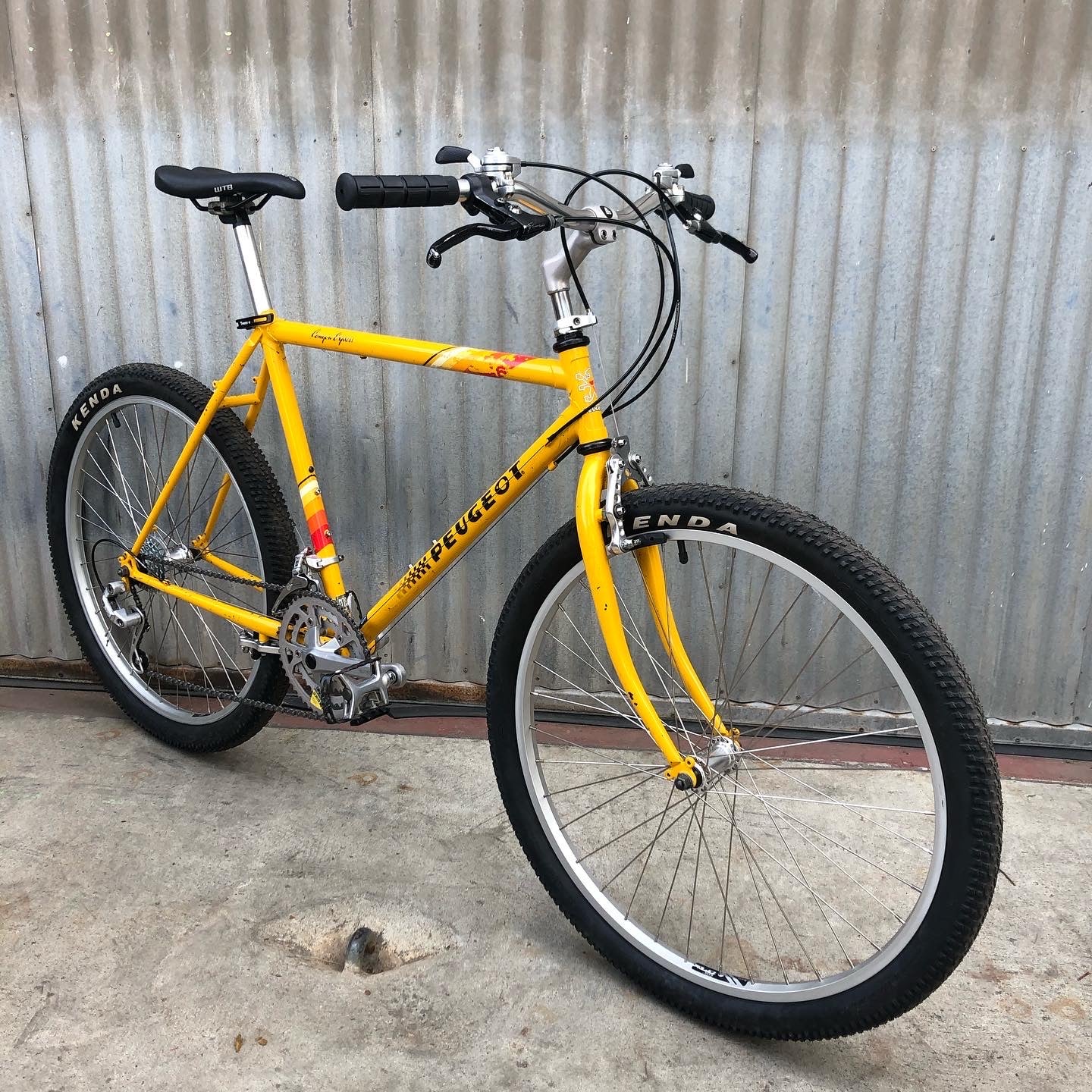 vintage mountainbike Peugeot Vintage Mountain Bike in Incredible Colorway