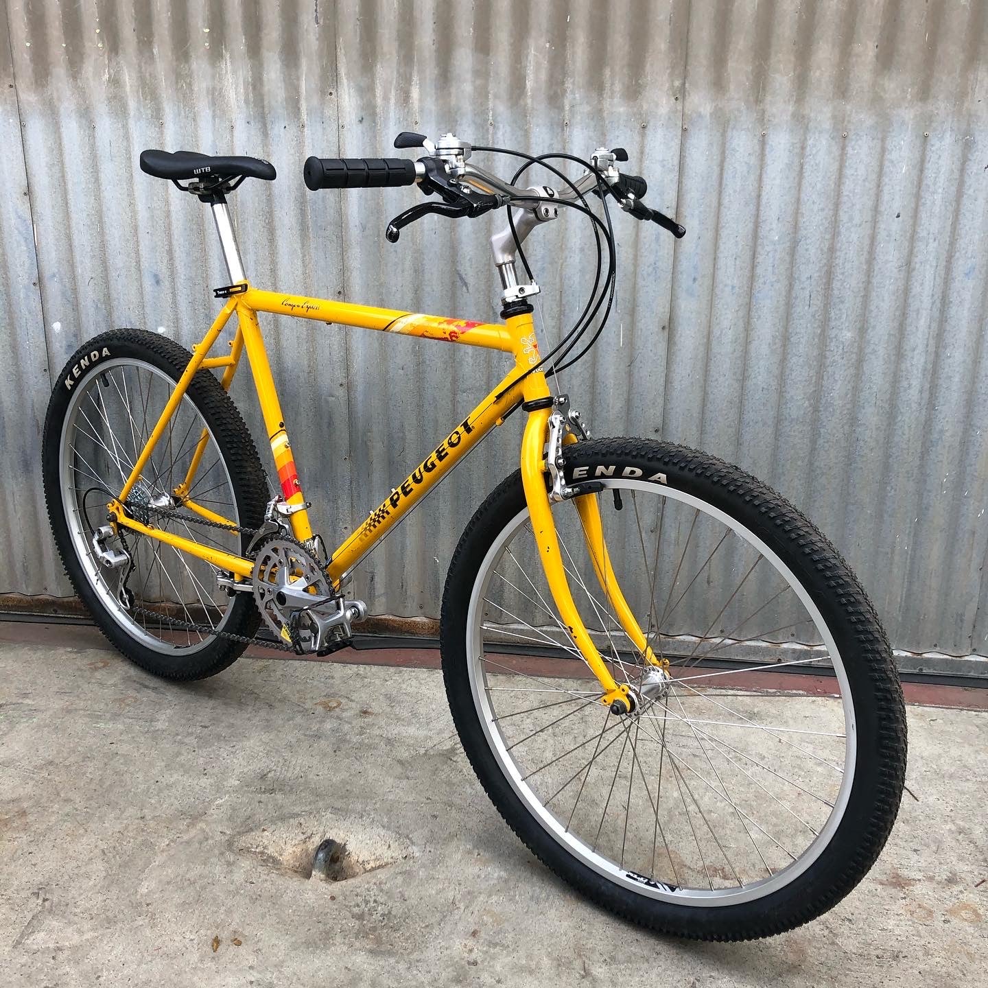 Peugeot Vintage Mountain Bike in Incredible Colorway