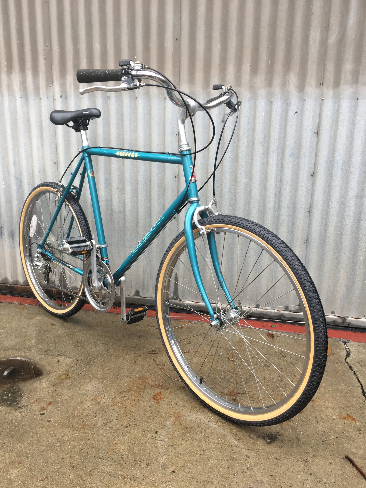 Raleigh Horizon Citysport Burrito Slayer