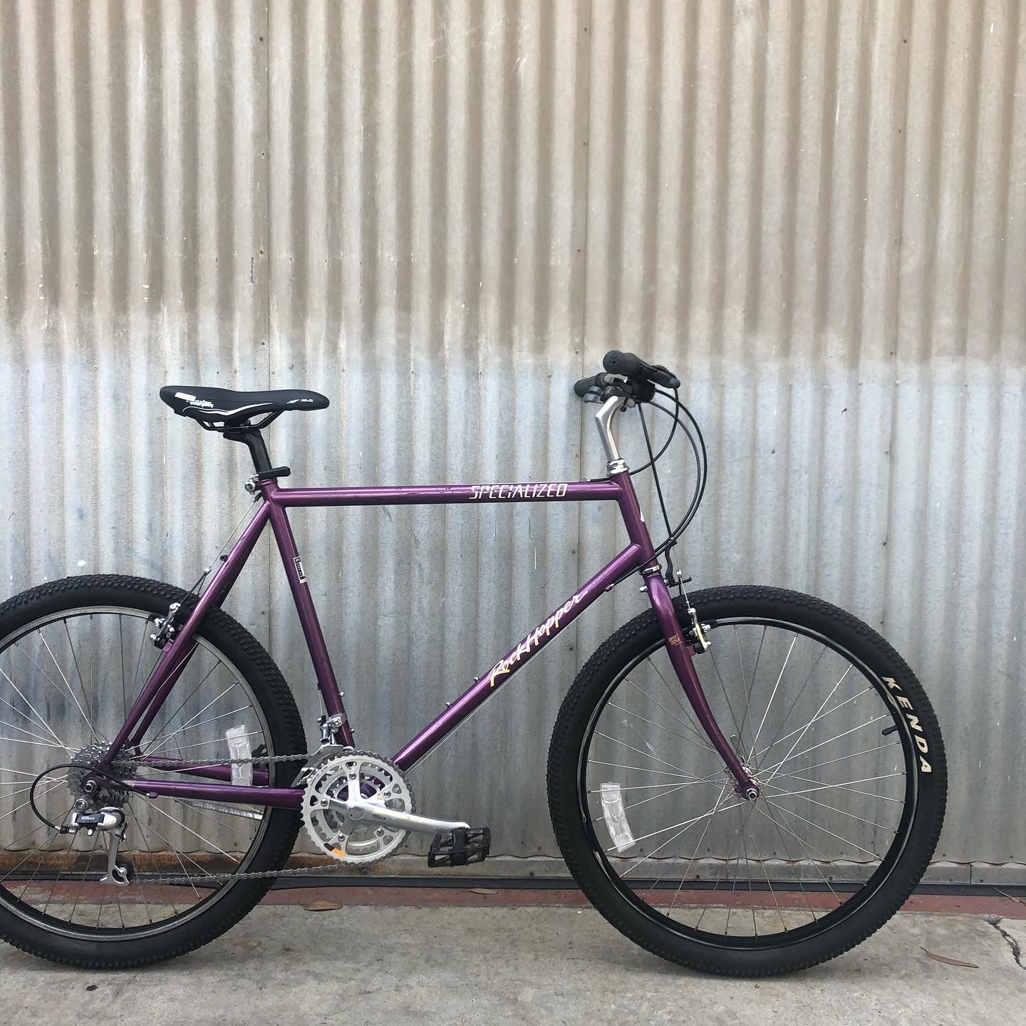 Vintage Steel Specialized Rockhopper - Terrific Purple Bike!