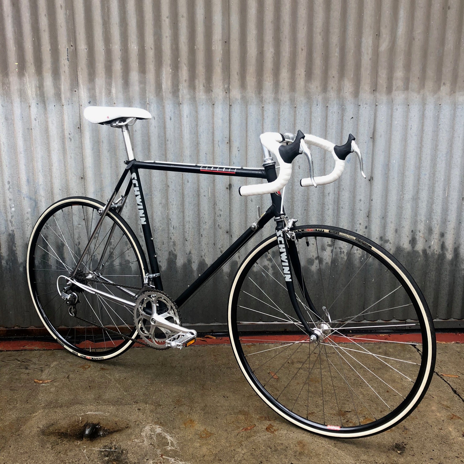 Schwinn Circuit Road Bike Vintage Race Bike