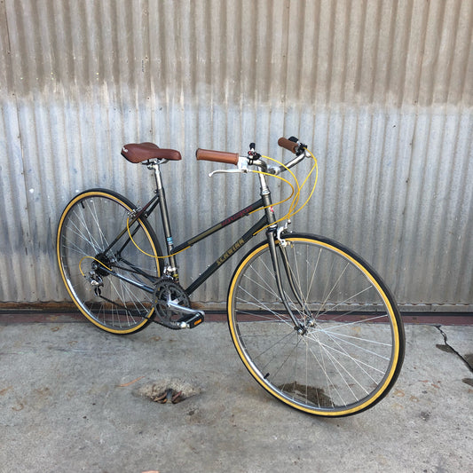 Schwinn World Sport City Bike Conversion
