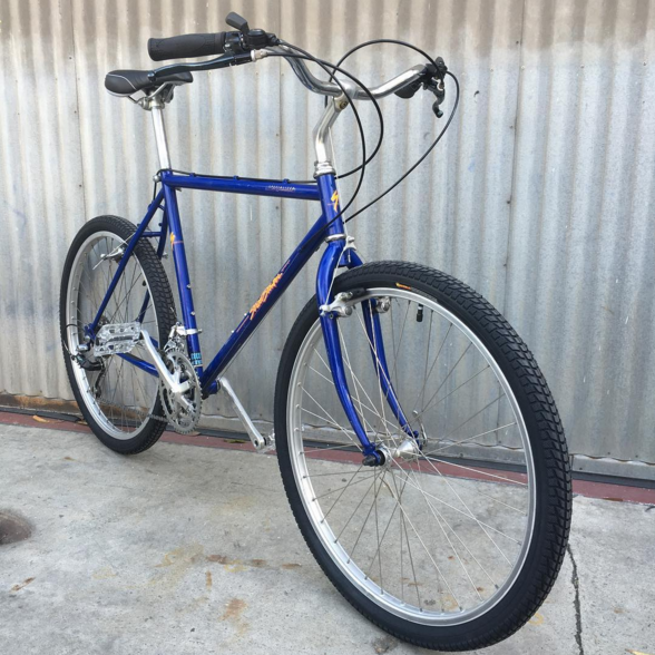 Specialized Street Stomper Burrito Slayer MTB Conversion