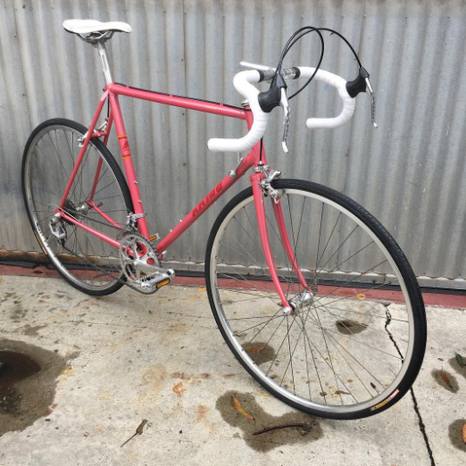 Akiru Leopard - Japanese - Shimano 600 Classic