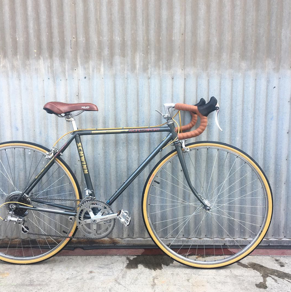 Schwinn World Sport
