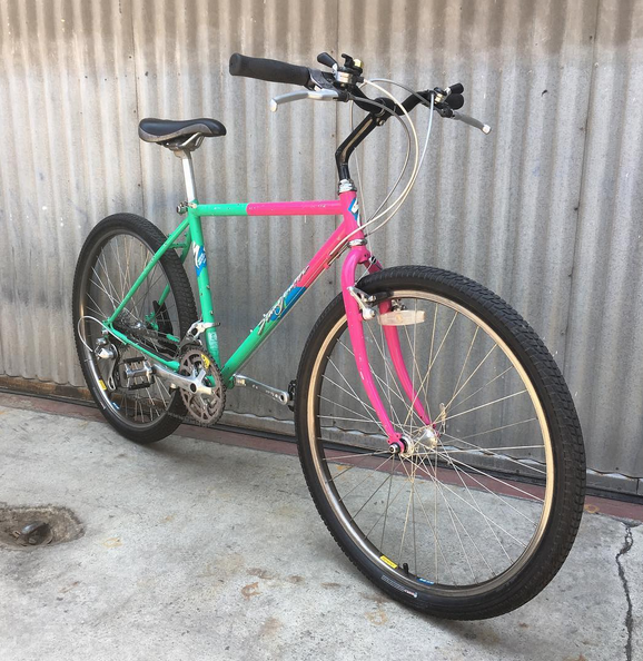 Specialized Stumpjumper in Mega-Rad Colorway