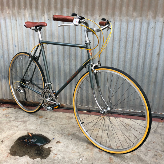Nishiki Royal built as a baguette slaying city bike