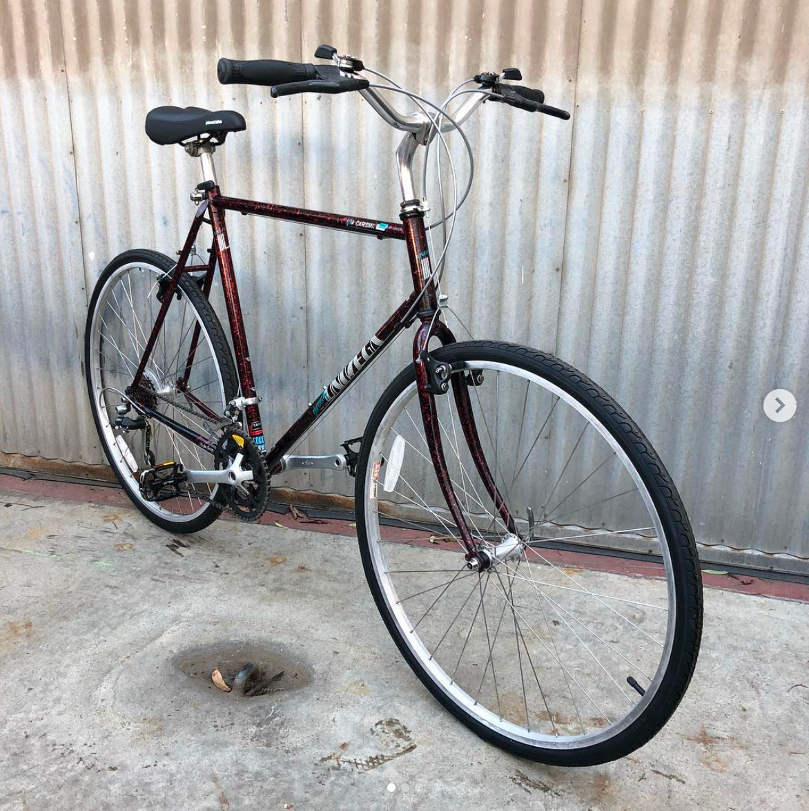 univega urban bike Univega City Riding MTB Conversion – Coco's Variety