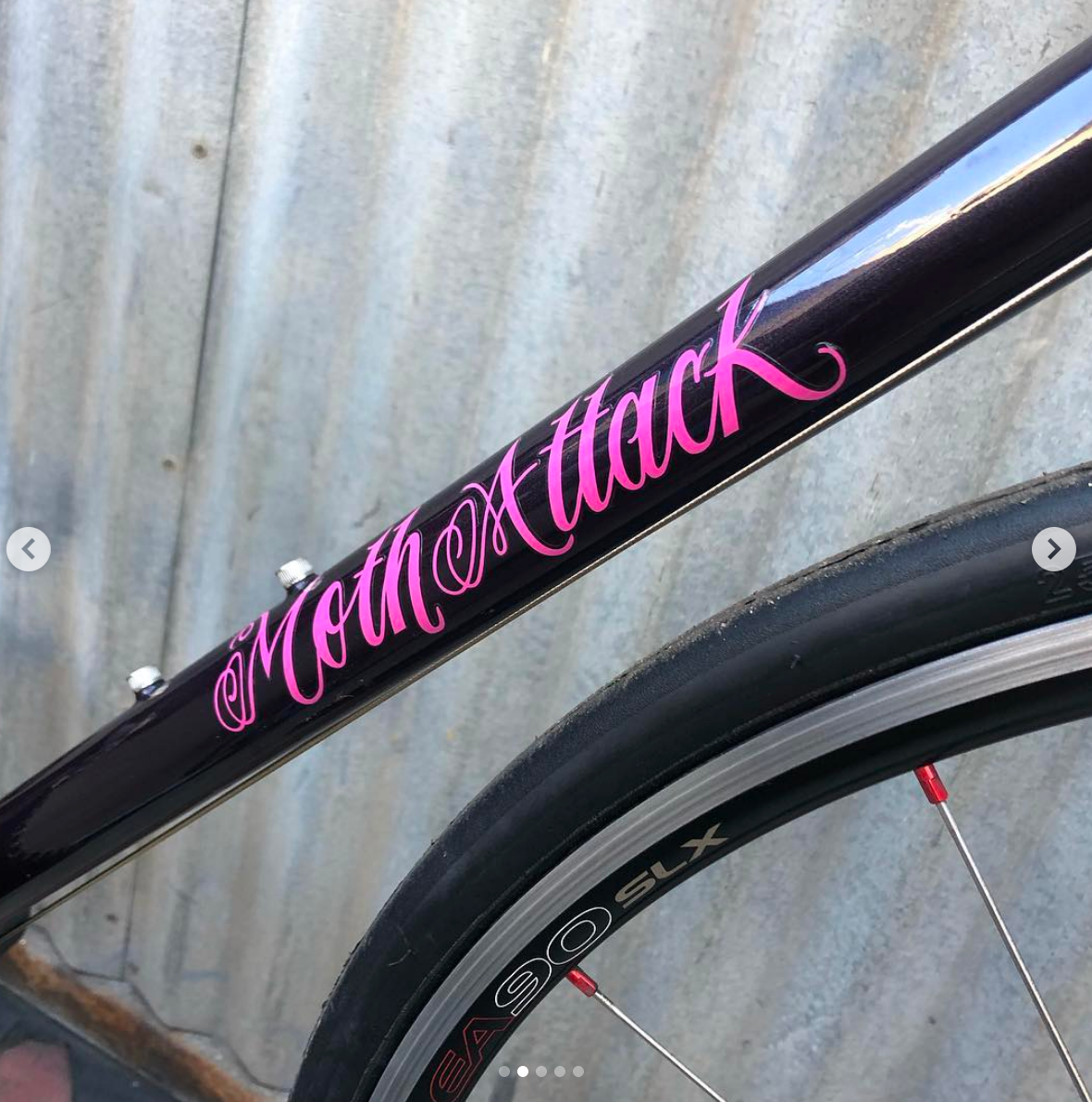 Moth Attack Ultegra Custom Handmade Bicycle