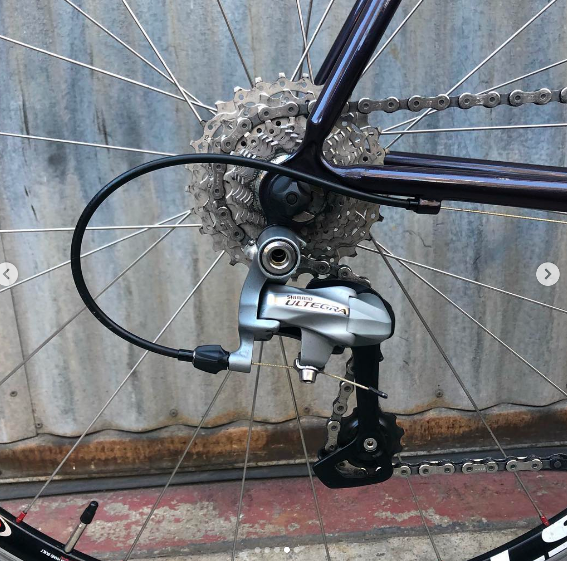 Moth Attack Ultegra Custom Handmade Bicycle