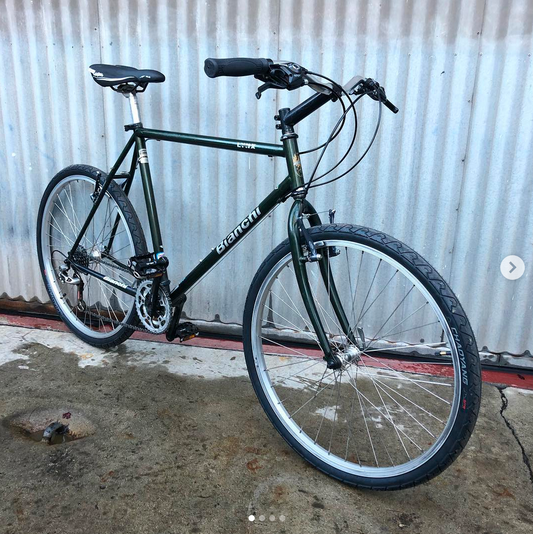 Bianchi Lynx City Bike - MTB Conversion in the Burrito Slaying Standard
