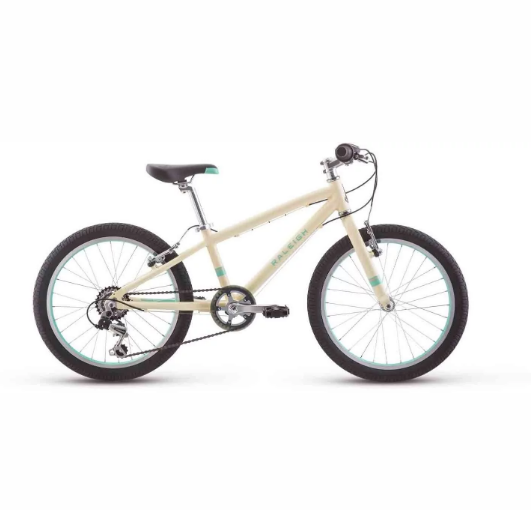 Raleigh Kid's Bike