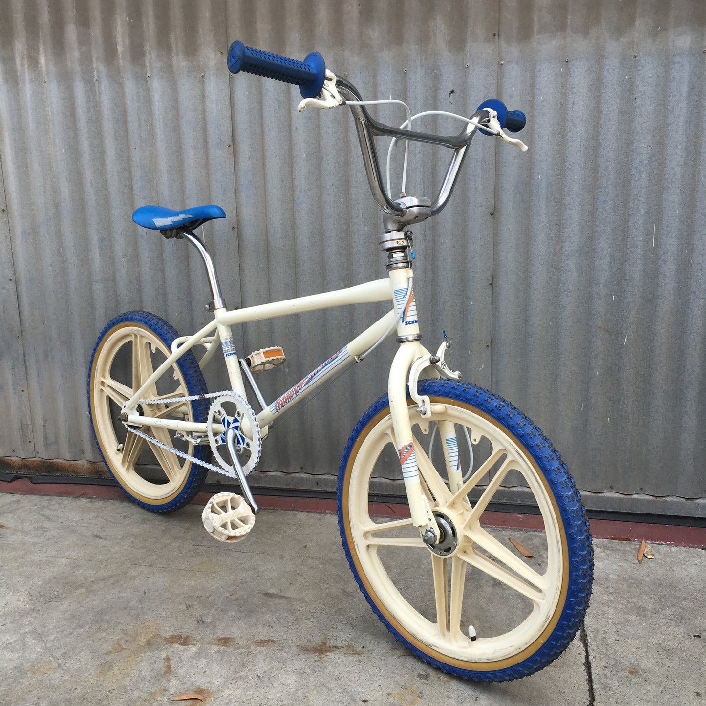 Kid's BMX Vintage Schwinn Predator BMX - Studio Rental