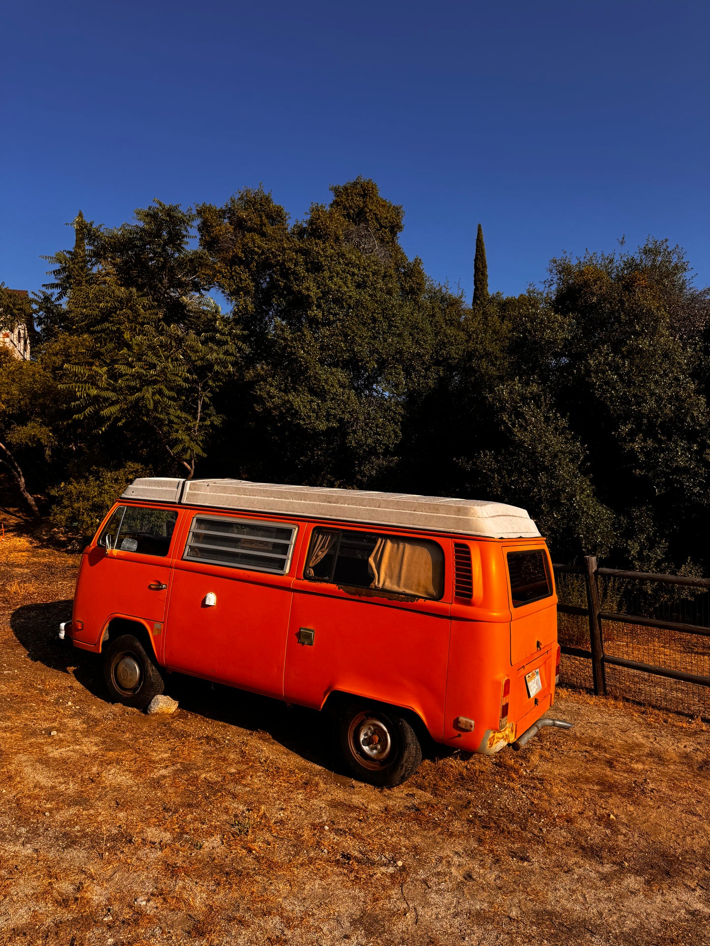 1977 Volkswagen Westfalia Bus