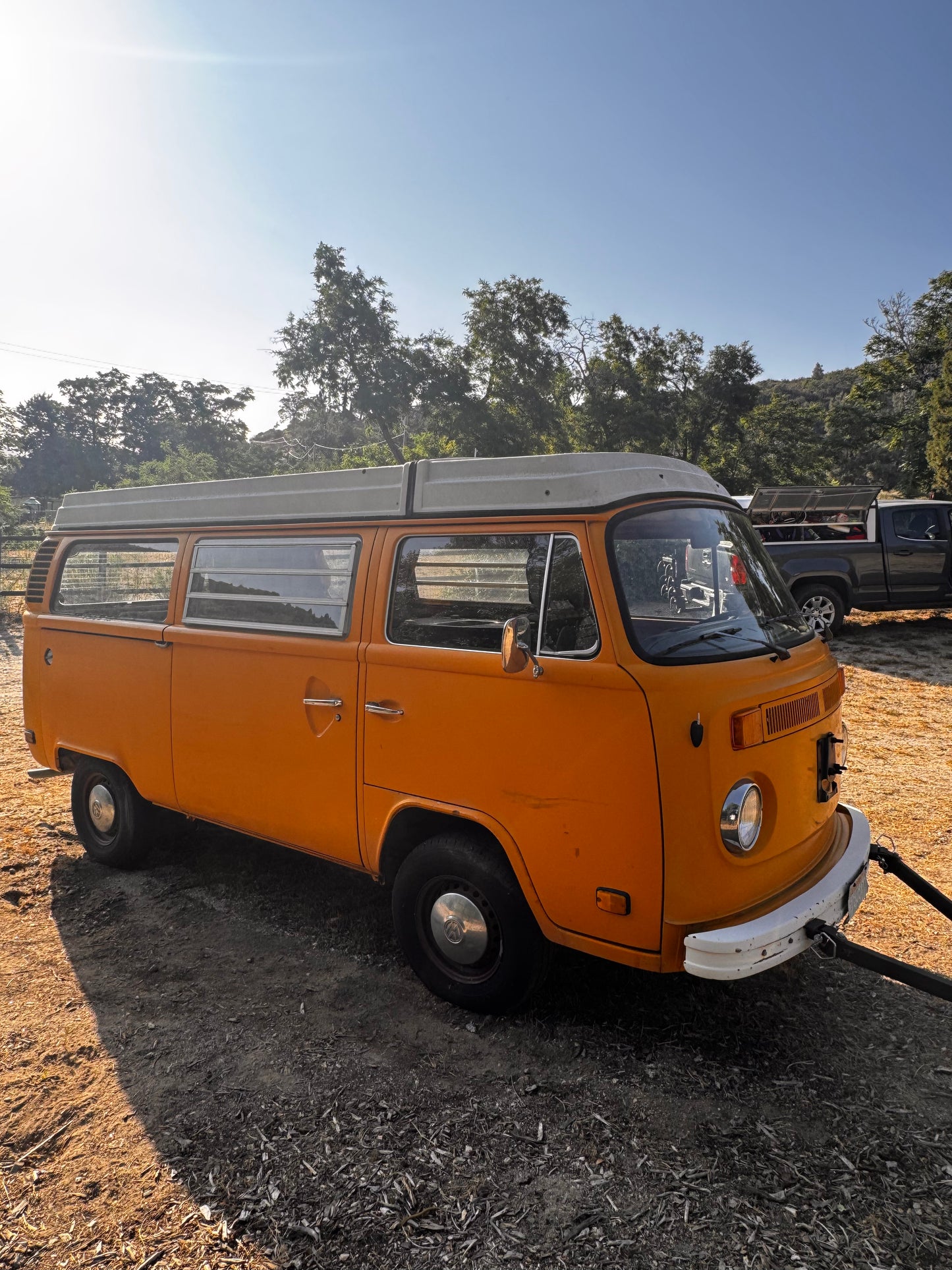 1977 Volkswagen Westfalia Bus