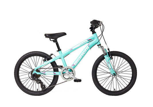 Bianchi Dual 20" Youth MTB for Kids