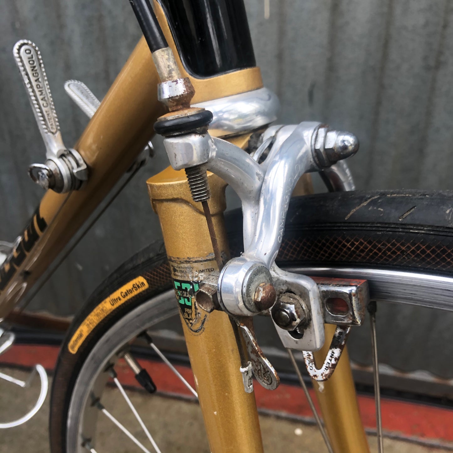 Bob Jackson - Extra Large L'Eroica Friendly Sports Tourer