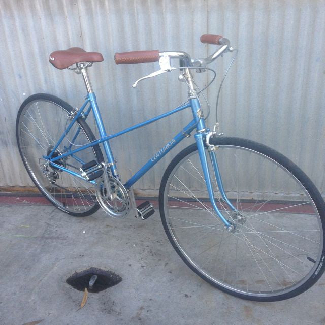 Centurion Mixte – Coco's Variety