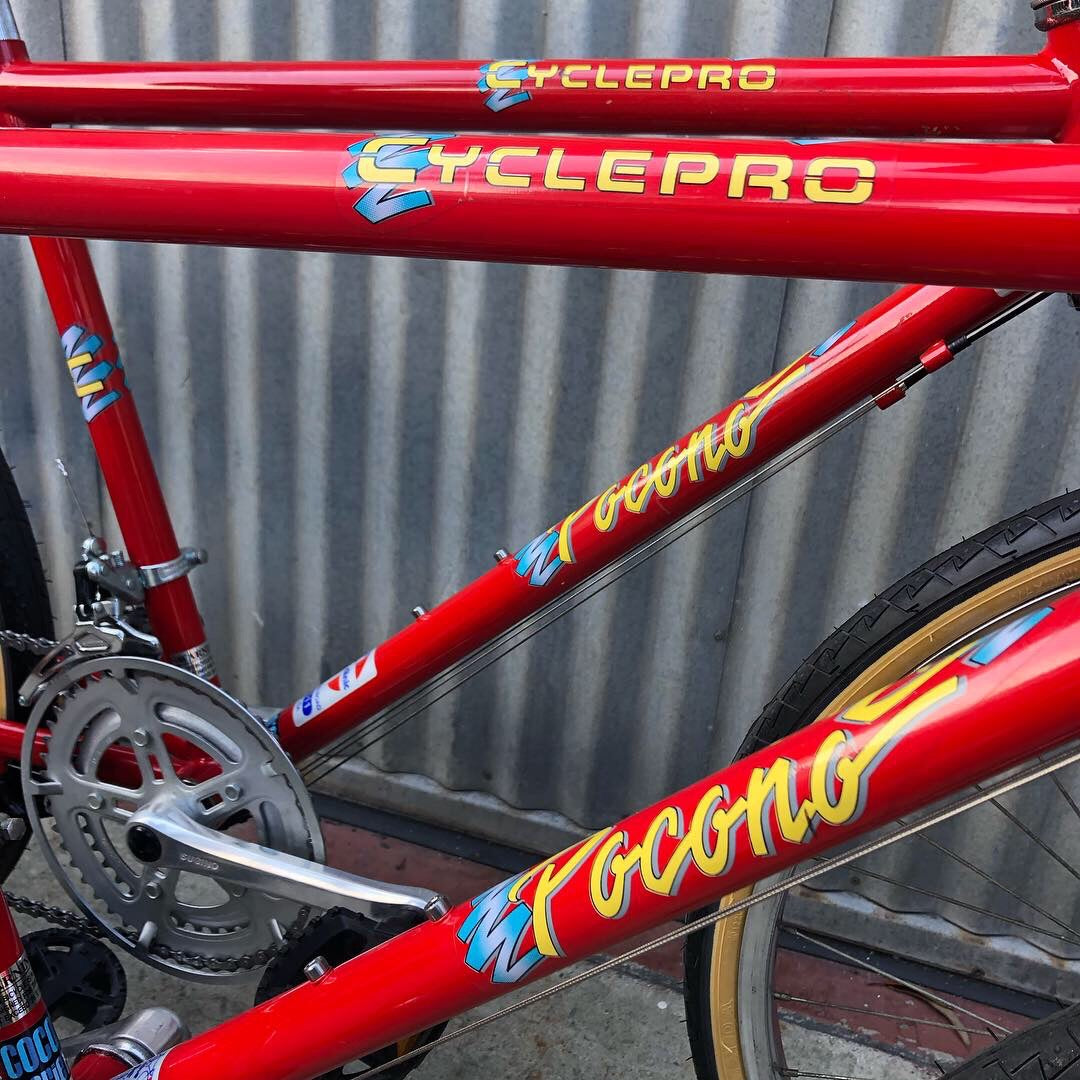 Cyclepro Matched Pair Pocono Used Burrito Slayer-style City Bike