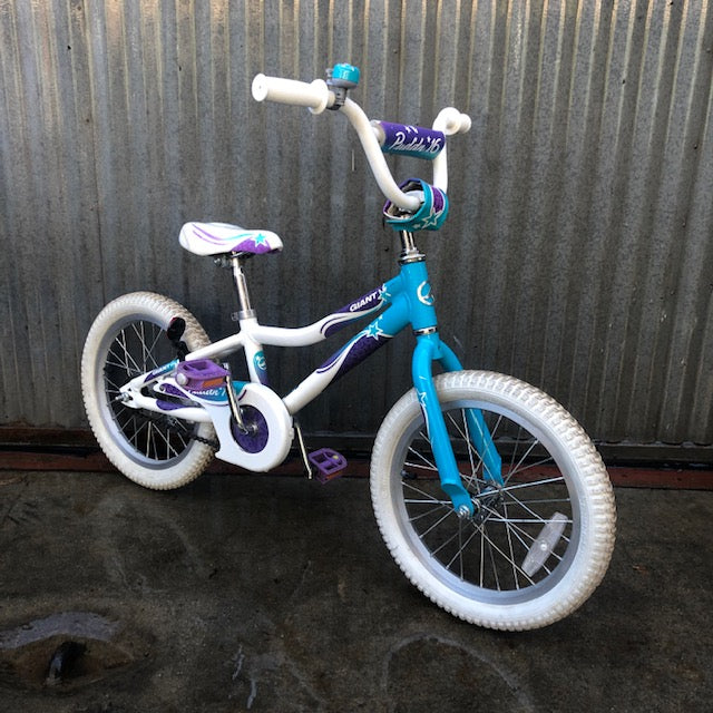 Nice and Clean Giant Puddin' 16" Used Kid's Bike