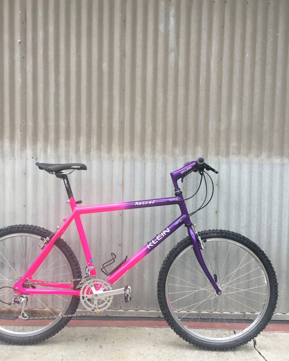 Rasta Klein Rascal Klein Rascal in Pink / Purple Fade - Extremely Clean – Coco's Variety