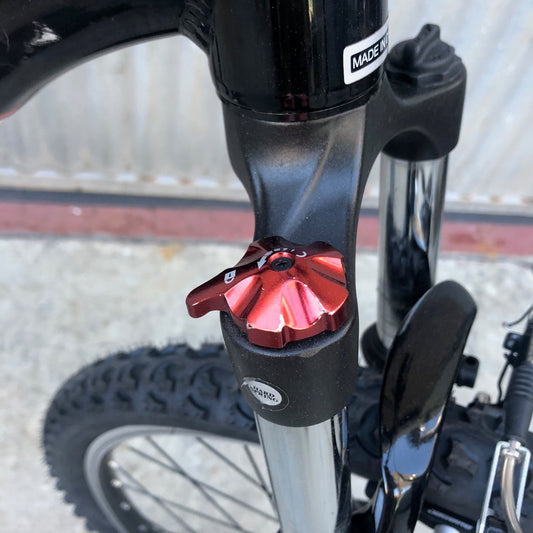 Trek Mountain Bike - Extra Large