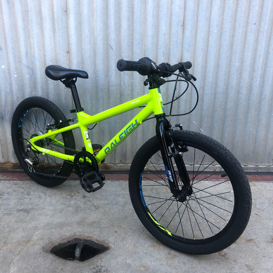Raleigh Rowdy 20" Geared Kid's Bike