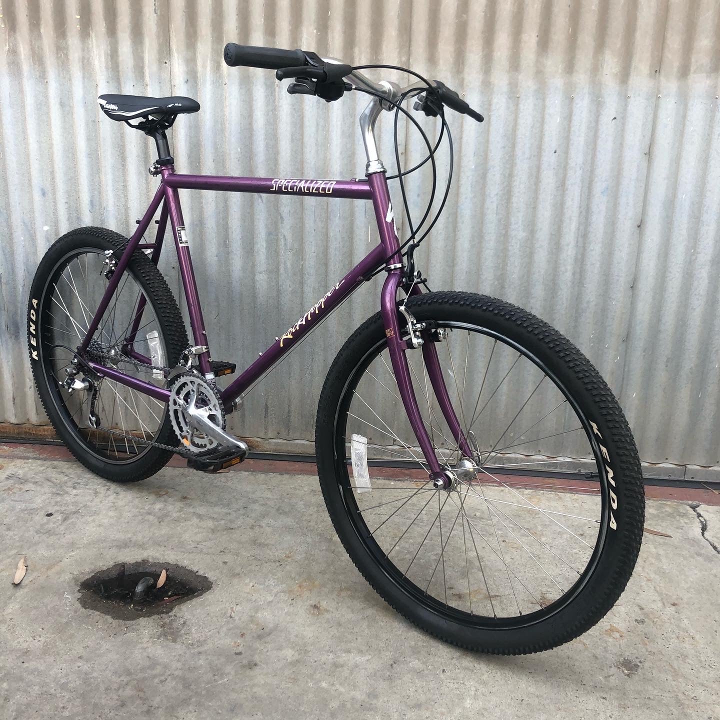 Vintage Steel Specialized Rockhopper - Terrific Purple Bike!