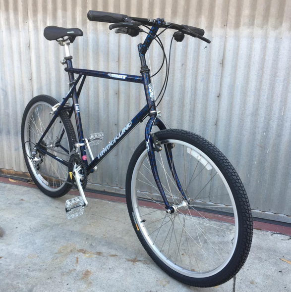 Gt bike outlet triple triangle