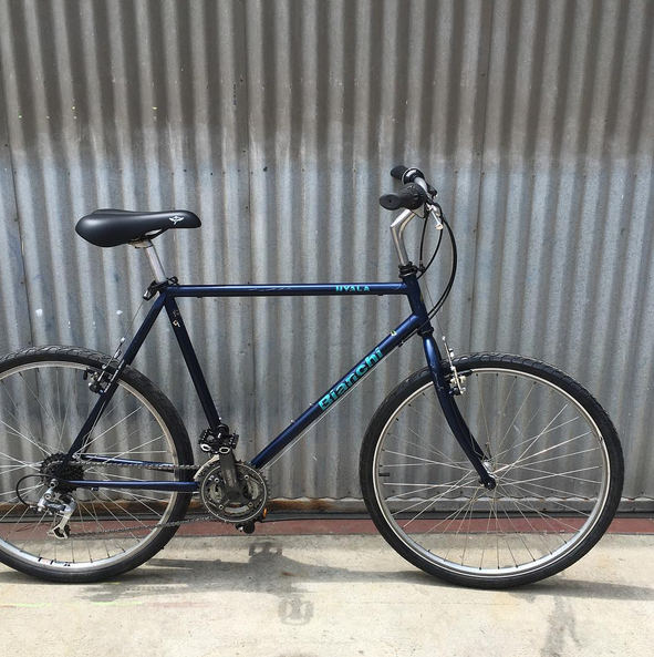 Giant bianchi online