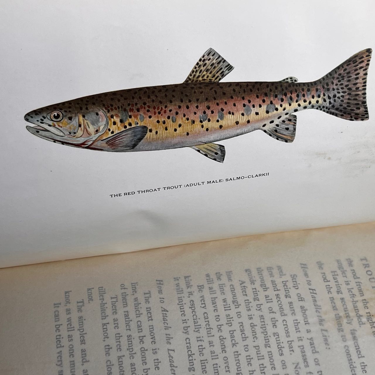 Trout Fly-Fishing in America by Charles Zibson Southard