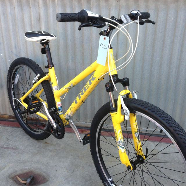 Trek Skye City Bike – Coco's Variety