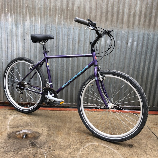 Schwinn Sidewinder for City Duty – Coco's Variety